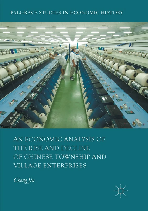An Economic Analysis of the Rise and Decline of Chinese Township and Village Enterprises (Palgrave Studies in Economic History)