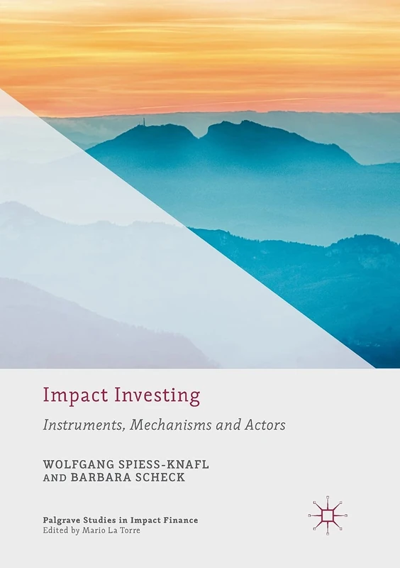 Impact Investing: Instruments, Mechanisms and Actors (Palgrave Studies in Impact Finance)