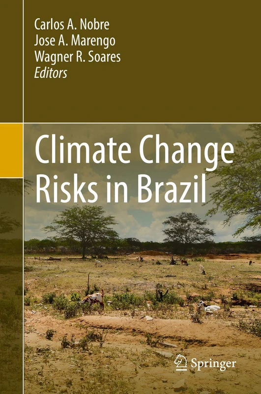 Climate Change Risks in Brazil - Image 1