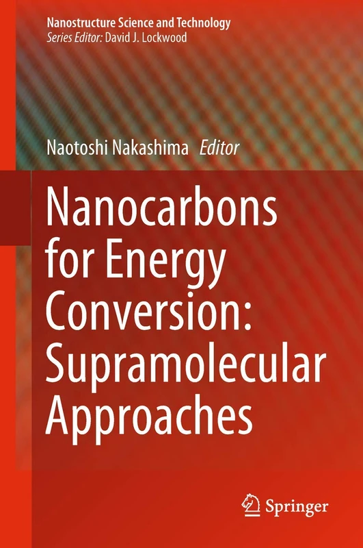 Springer Nanocarbons for Energy Conversion - Science Book