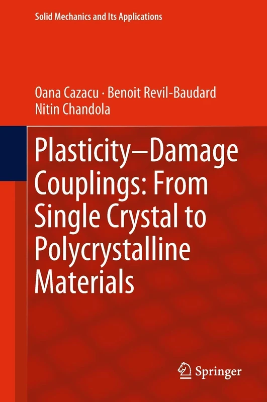 Plasticity-Damage Couplings: From Single Crystal to Polycrystalline Materials: 253 (Solid Mechanics and Its Applications, 253)