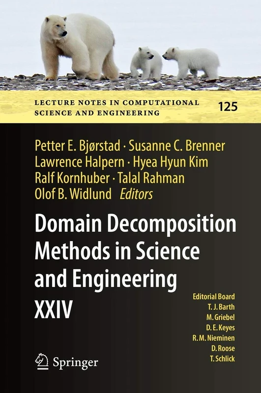 Domain Decomposition Methods in Science and Engineering XXIV: 125 (Lecture Notes in Computational Science and Engineering, 125)