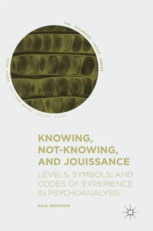 Knowing, Not-Knowing, and Jouissance: Levels, Symbols, and Codes of Experience in Psychoanalysis (The Palgrave Lacan Series)