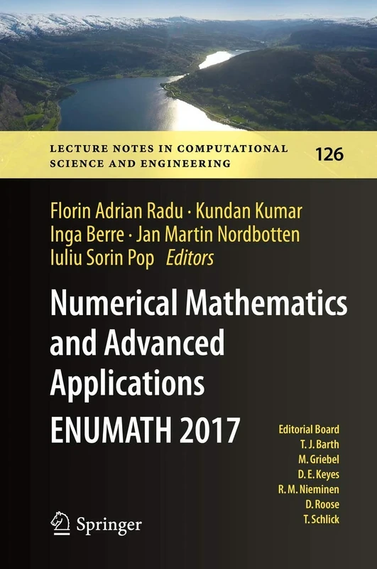 Numerical Mathematics and Advanced Applications ENUMATH 2017: 126 (Lecture Notes in Computational Science and Engineering, 126)