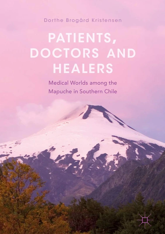 Patients, Doctors and Healers: Medical Worlds among the Mapuche in Southern Chile