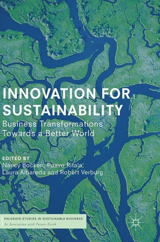 Innovation for Sustainability: Business Transformations Towards a Better World (Palgrave Studies in Sustainable Business In Association with Future Earth)
