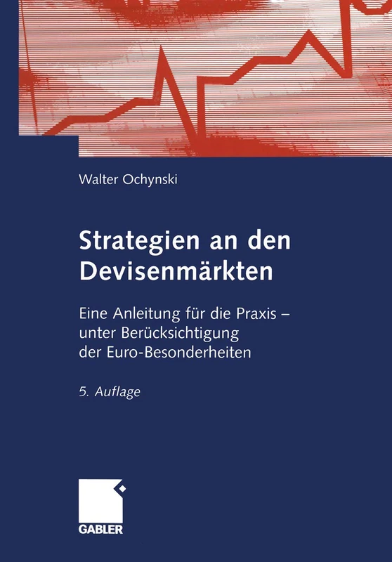Strategien an den Devisenmärkten: Eine Anleitung für die Praxis ― unter Berücksichtigung der Euro-Besonderheiten