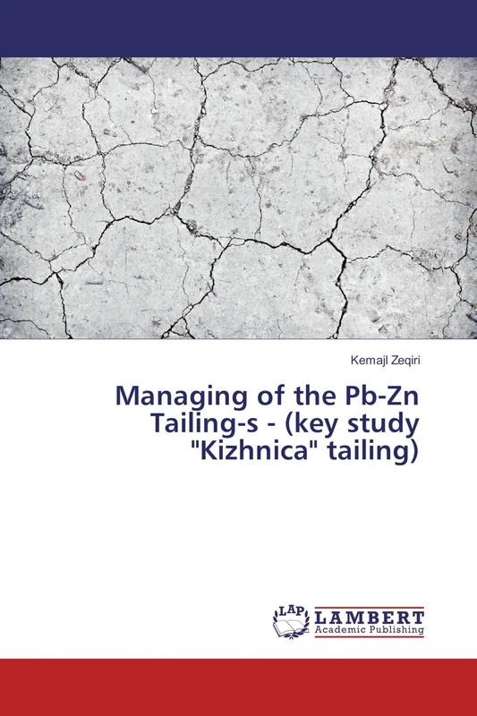 Managing of the Pb-Zn Tailing-s - (key study "Kizhnica" tailing) - Image 1