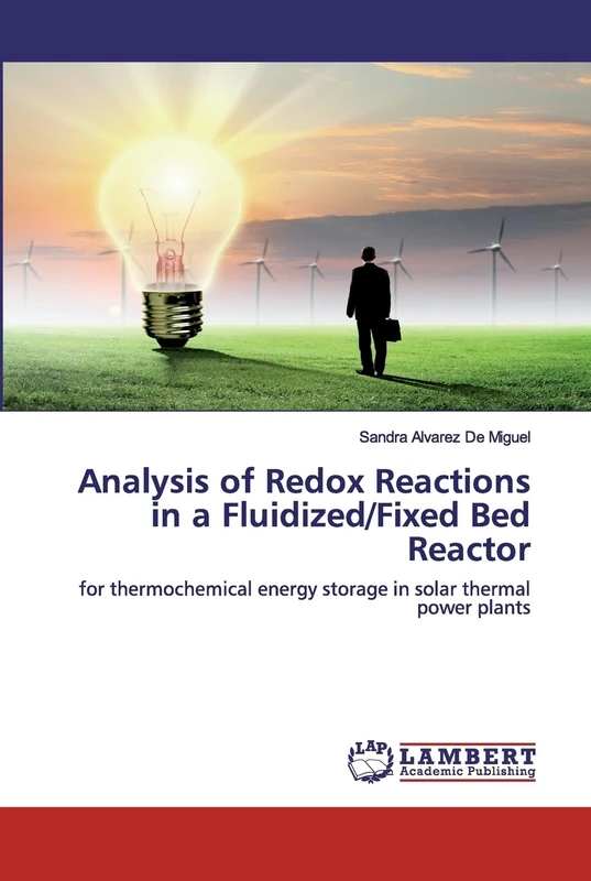 Analysis of Redox Reactions in a Fluidized/Fixed Bed Reactor: for thermochemical energy storage in solar thermal power plants