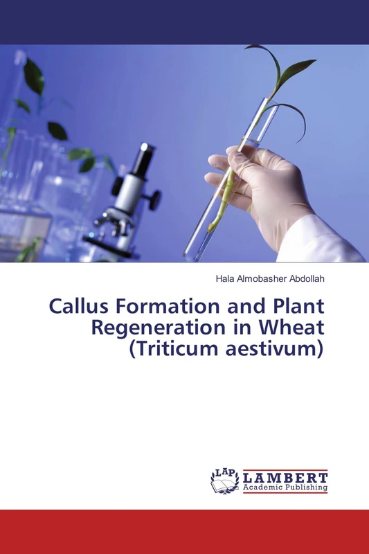 Callus Formation and Plant Regeneration in Wheat (Triticum aestivum)