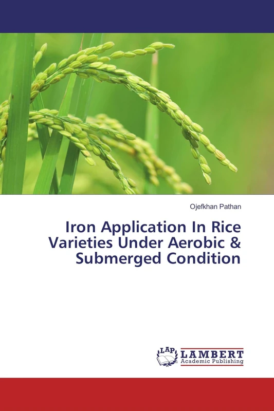 Iron Application In Rice Varieties Under Aerobic & Submerged Condition - Image 1