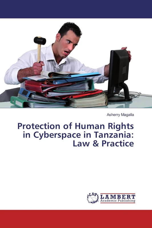 Protection of Human Rights in Cyberspace in Tanzania: Law & Practice - Image 1