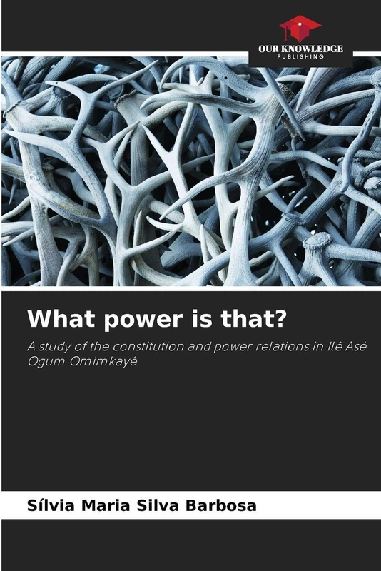 What power is that?: A study of the constitution and power relations in Ilê Asé Ogum Omimkayê
