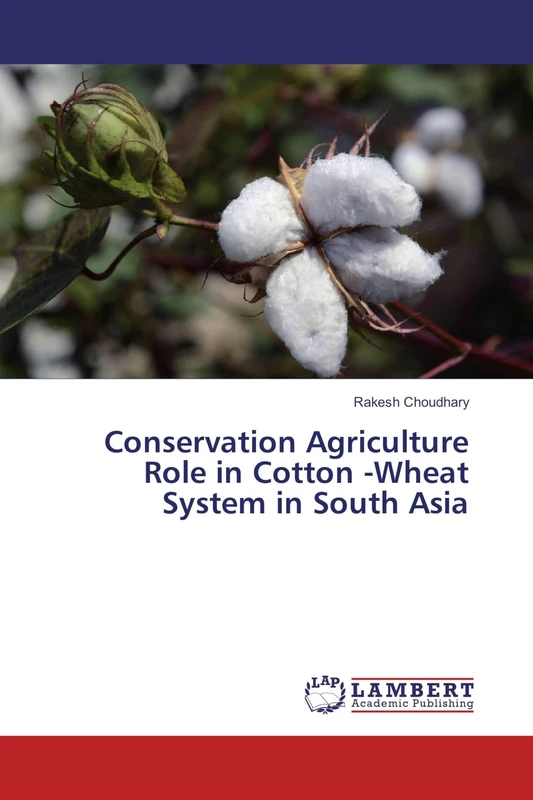 Conservation Agriculture Role in Cotton -Wheat System in South Asia - Image 1