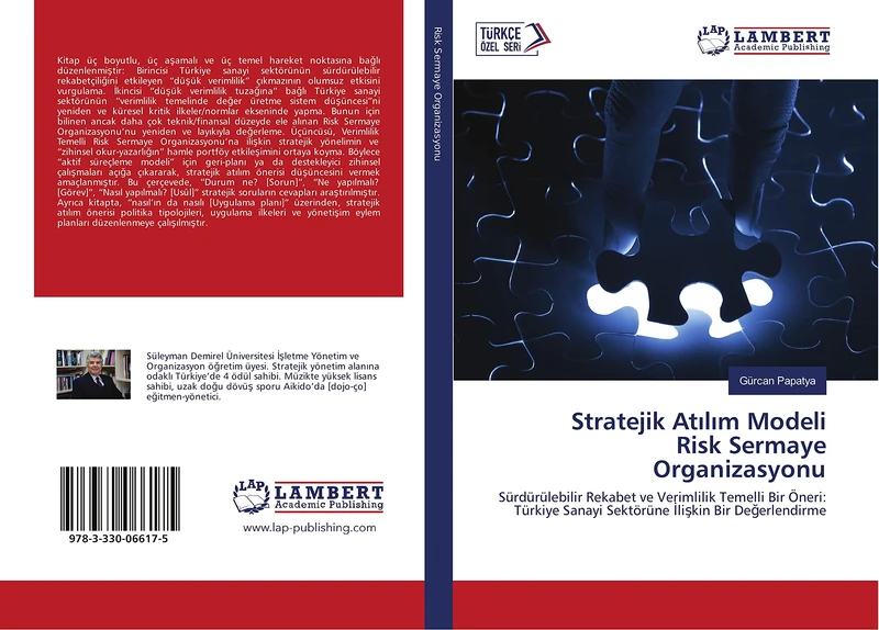 Stratejik Atılım Modeli Risk Sermaye Organizasyonu: Sürdürülebilir Rekabet ve Verimlilik Temelli Bir Öneri: Türkiye Sanayi Sektörüne İlişkin Bir Değerlendirme
