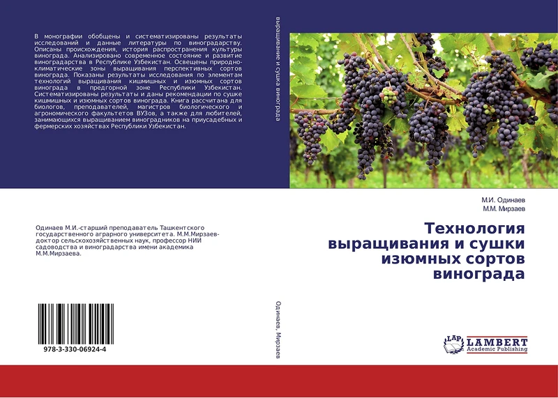 Технология выращивания и сушки изюмных сортов винограда