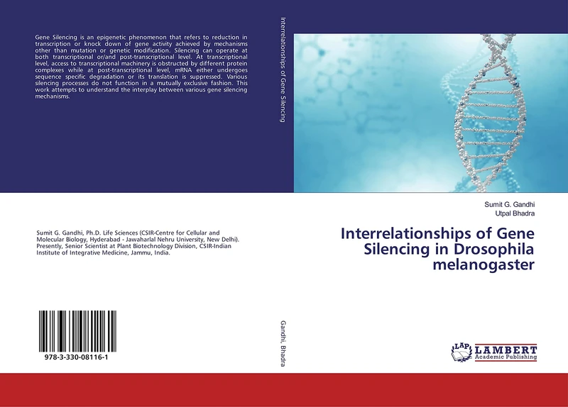 Interrelationships of Gene Silencing in Drosophila melanogaster