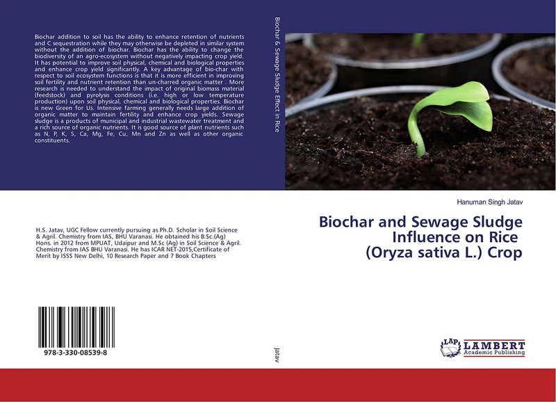 Biochar and Sewage Sludge Influence on Rice (Oryza sativa L.) Crop