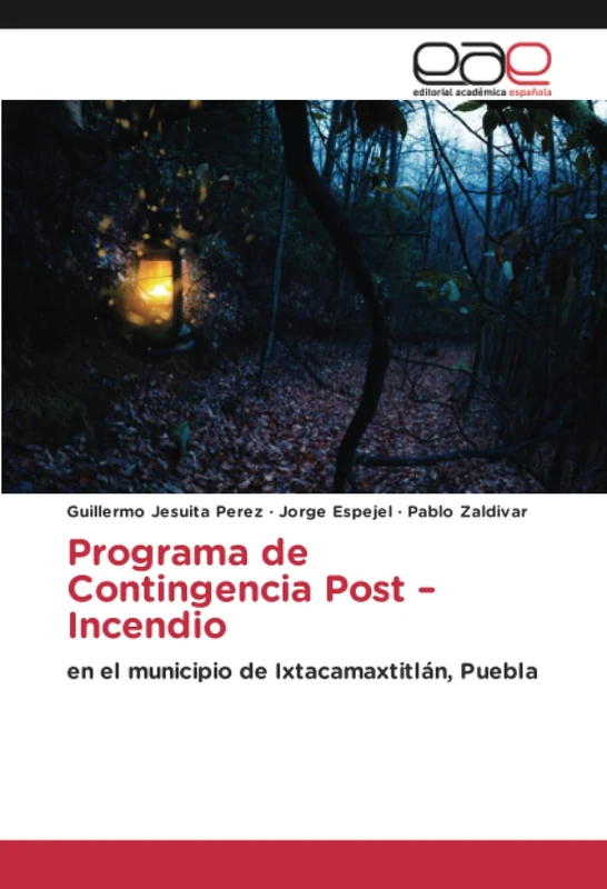 Programa de Contingencia Post – Incendio: en el municipio de Ixtacamaxtitlán, Puebla - Image 1