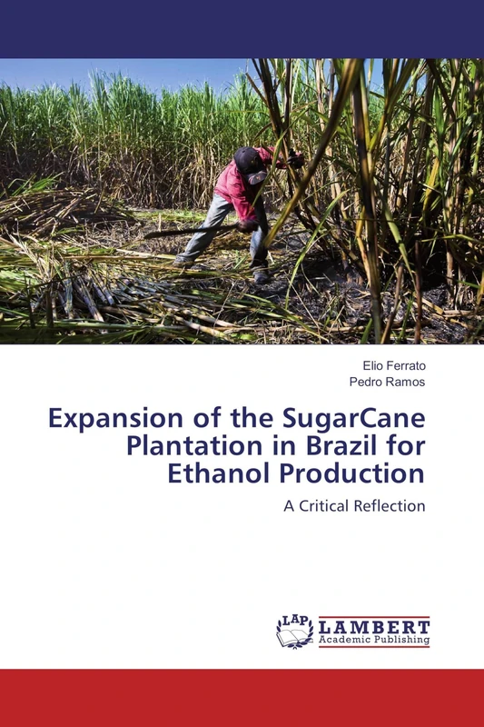 Expansion of the SugarCane Plantation in Brazil for Ethanol Production: A Critical Reflection