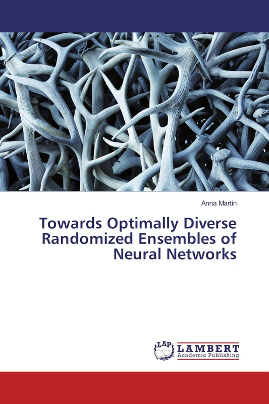Towards Optimally Diverse Randomized Ensembles of Neural Networks
