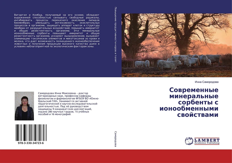 Современные минеральные сорбенты с ионообменными свойствами - Image 1