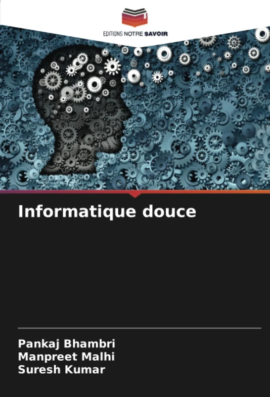 Informatique douce - Image 1