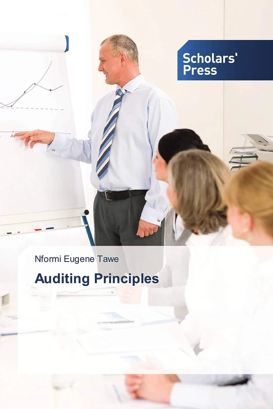 Auditing Principles - Image 1