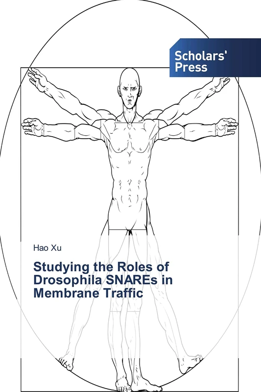 Studying the Roles of Drosophila SNAREs in Membrane Traffic - Image 1