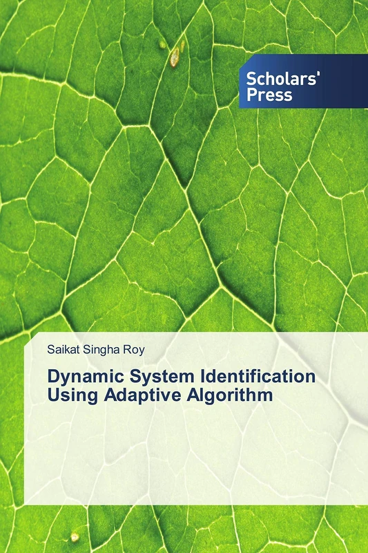 Dynamic System Identification Using Adaptive Algorithm - Image 1