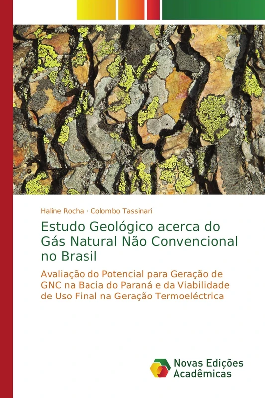 Estudo Geológico acerca do Gás Natural Não Convencional no Brasil: Avaliação do Potencial para Geração de GNC na Bacia do Paraná e da Viabilidade de Uso Final na Geração Termoeléctrica