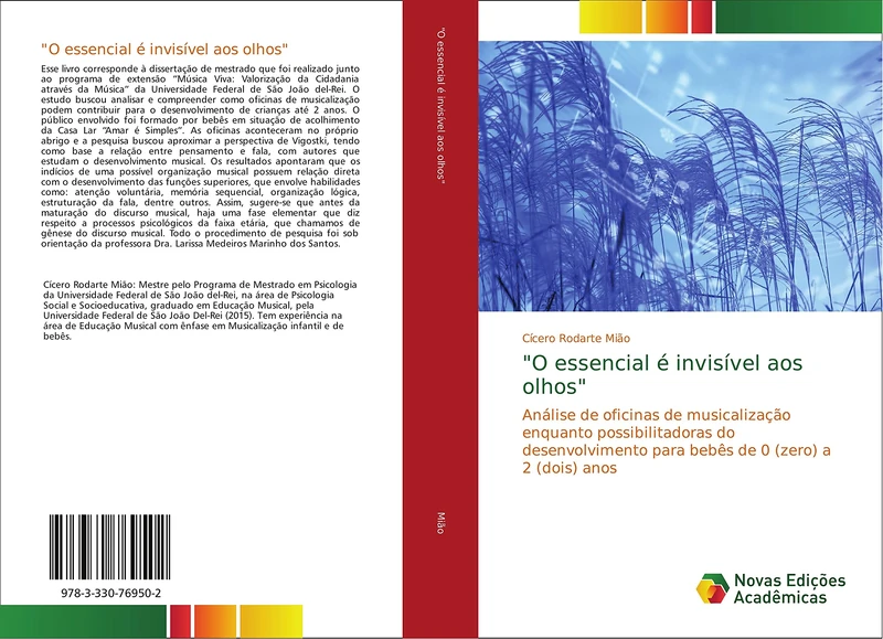 "O essencial é invisível aos olhos": Análise de oficinas de musicalização enquanto possibilitadoras do desenvolvimento para bebês de 0 (zero) a 2 (dois) anos - Image 1