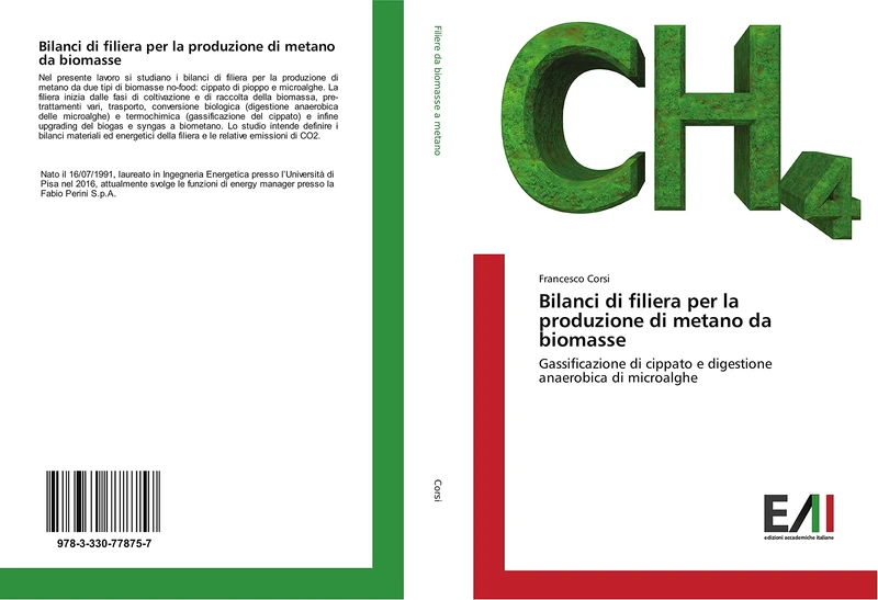 Bilanci di filiera per la produzione di metano da biomasse: Gassificazione di cippato e digestione anaerobica di microalghe - Image 1