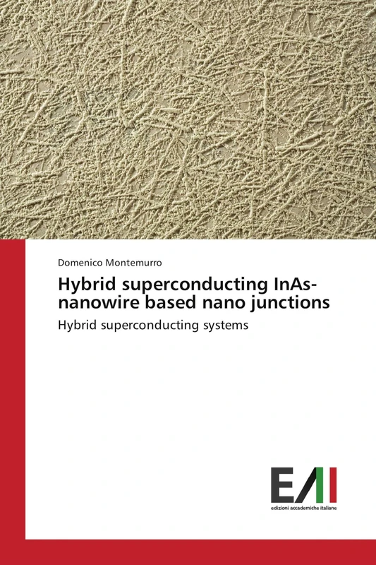 Hybrid superconducting InAs-nanowire based nano junctions: Hybrid superconducting systems