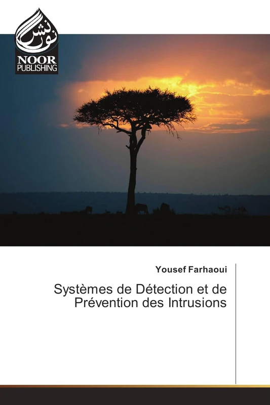 Systèmes de Détection et de Prévention des Intrusions - Image 1