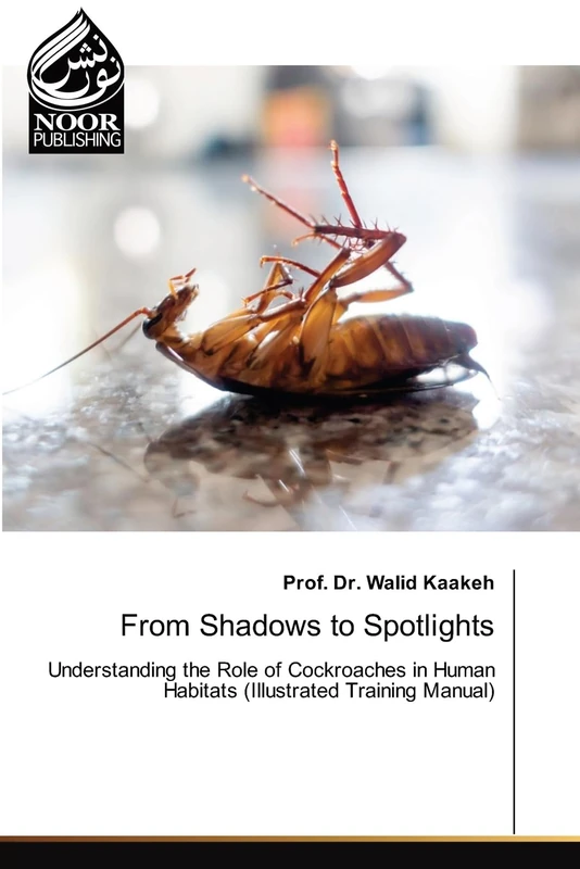 From Shadows to Spotlights