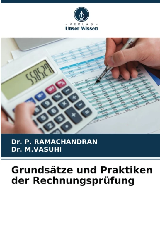 Grundsätze und Praktiken der Rechnungsprüfung - Image 1
