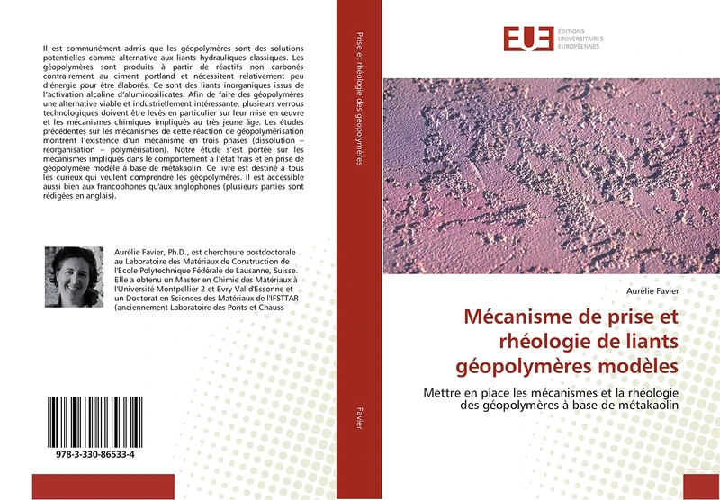 Mécanisme de prise et rhéologie de liants géopolymères modèles: Mettre en place les mécanismes et la rhéologie des géopolymères à base de métakaolin