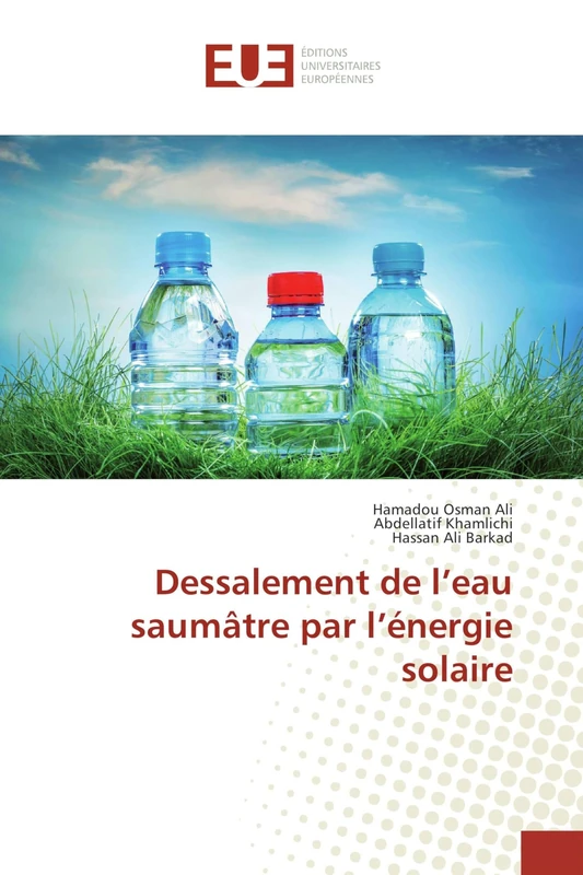 Dessalement de l’eau saumâtre par l’énergie solaire - Image 1