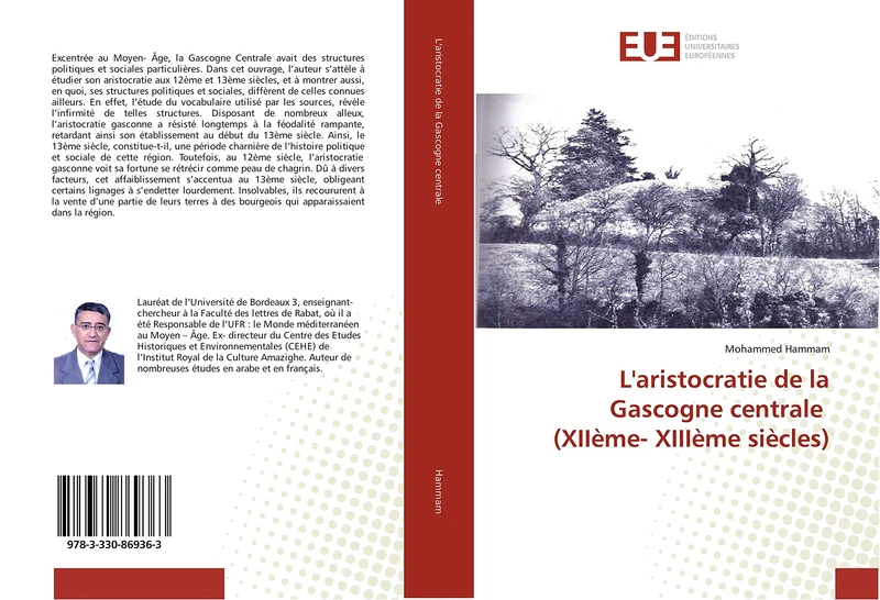 L'aristocratie de la Gascogne centrale (XIIème- XIIIème siècles)