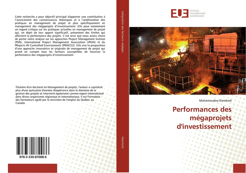 Performances des mégaprojets d'investissement