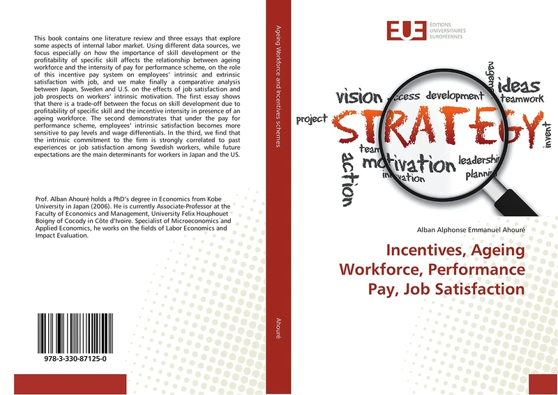 Incentives, Ageing Workforce, Performance Pay, Job Satisfaction