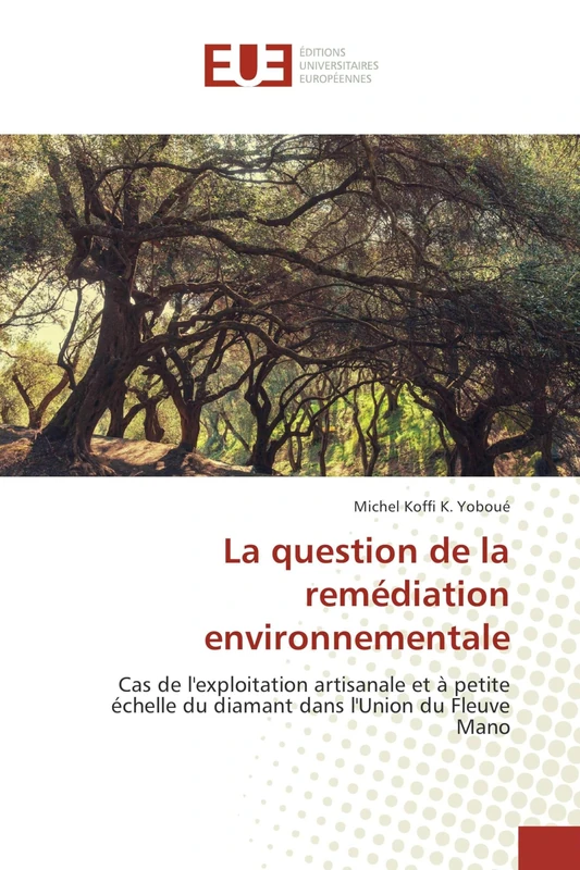 La question de la remédiation environnementale: Cas de l'exploitation artisanale et à petite échelle du diamant dans l'Union du Fleuve Mano