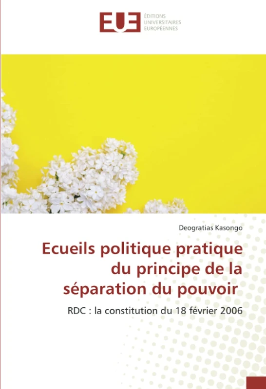 Ecueils politique pratique du principe de la séparation du pouvoir: RDC : la constitution du 18 février 2006 - Image 1