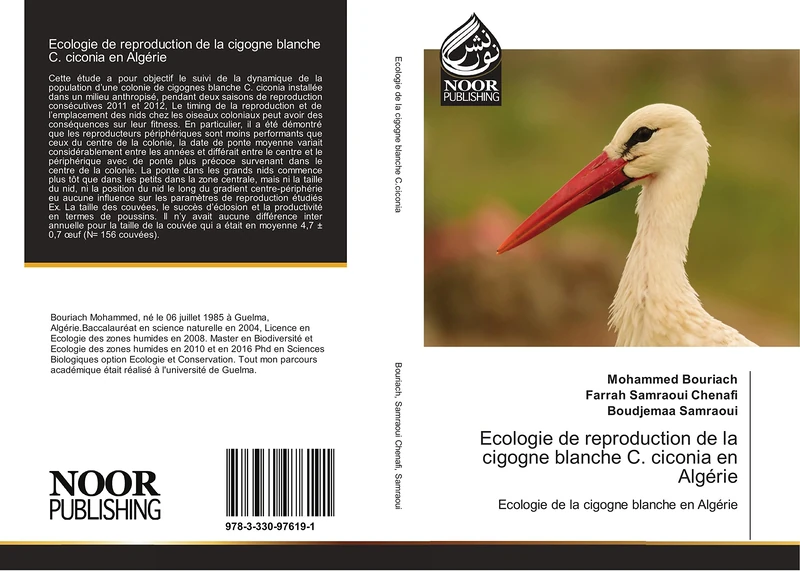 Ecologie de reproduction de la cigogne blanche C. ciconia en Algérie: Ecologie de la cigogne blanche en Algérie - Image 1