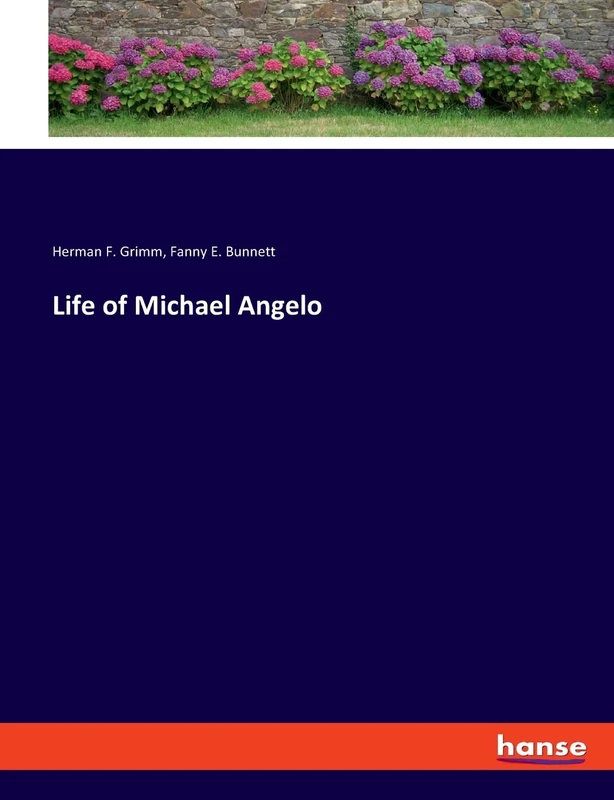 Life of Michael Angelo - Image 1