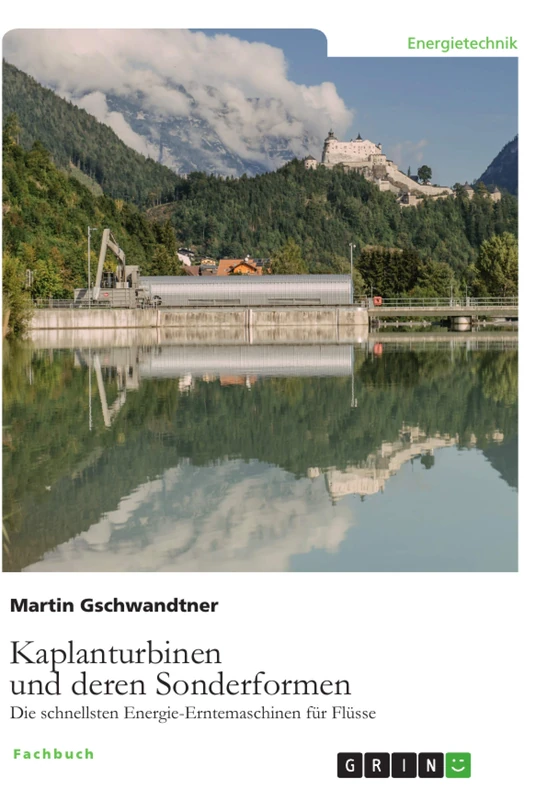 Kaplanturbinen und deren Sonderformen: Die schnellsten Energie-Erntemaschinen für Flüsse