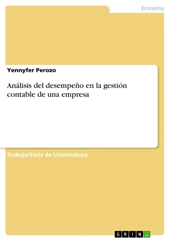 Análisis del desempeño en la gestión contable de una empresa