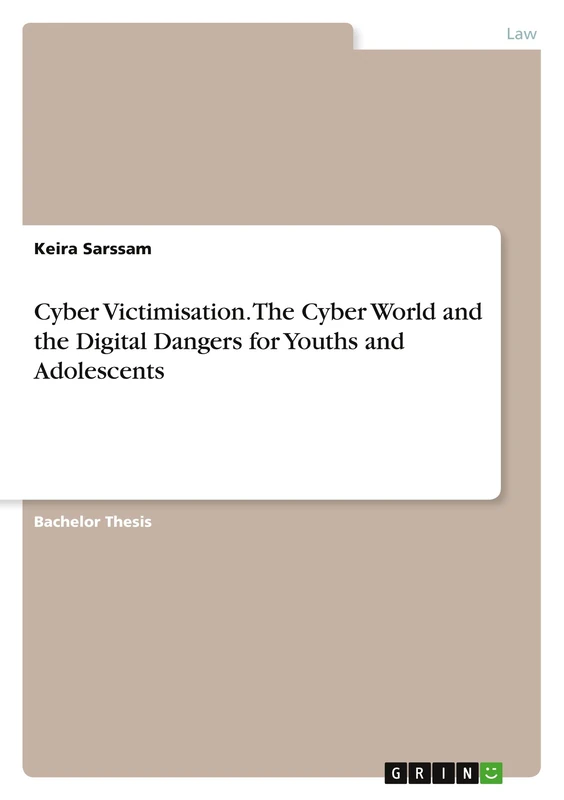 Cyber Victimisation. The Cyber World and the Digital Dangers for Youths and Adolescents