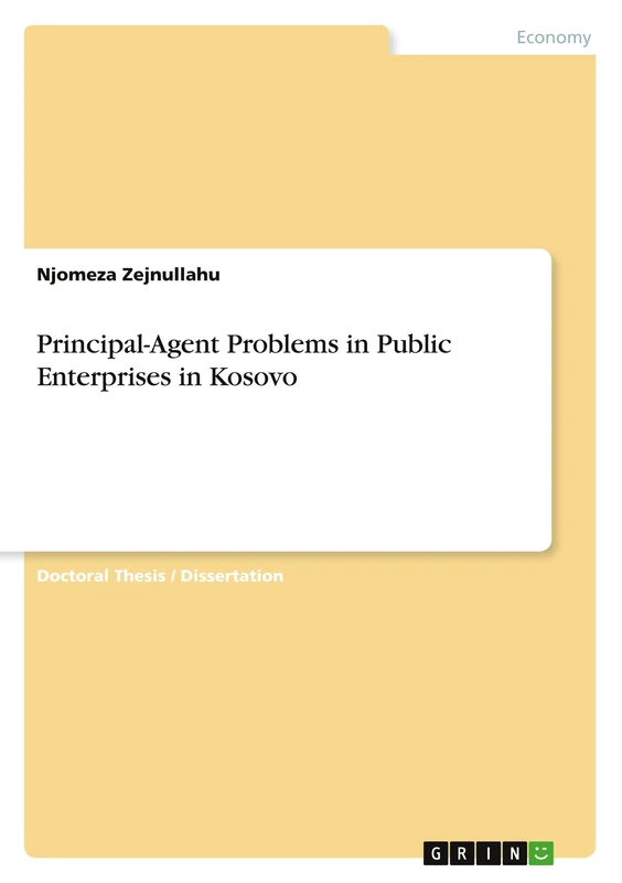 Principal-Agent Problems in Public Enterprises in Kosovo